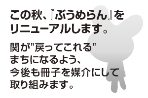 広告左上